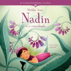 Nadin és a varázstégely    9.95 + 1.95 Royal Mail